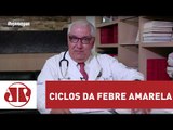 Febre amarela: entenda os ciclos silvestre e urbano | Jovem Pan