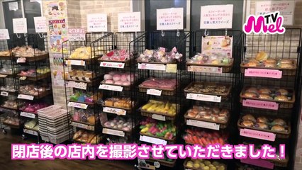 【スクイーズ】ゆながどハマり！？今大人気のスクイーズ紹介！歩乃華week4日目！