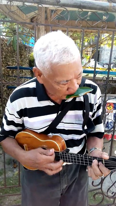 Father Plays the Ukulele