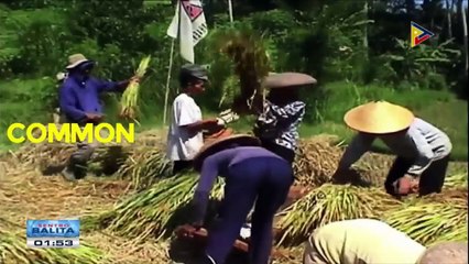 #ASEAN101: Alam mo ba?