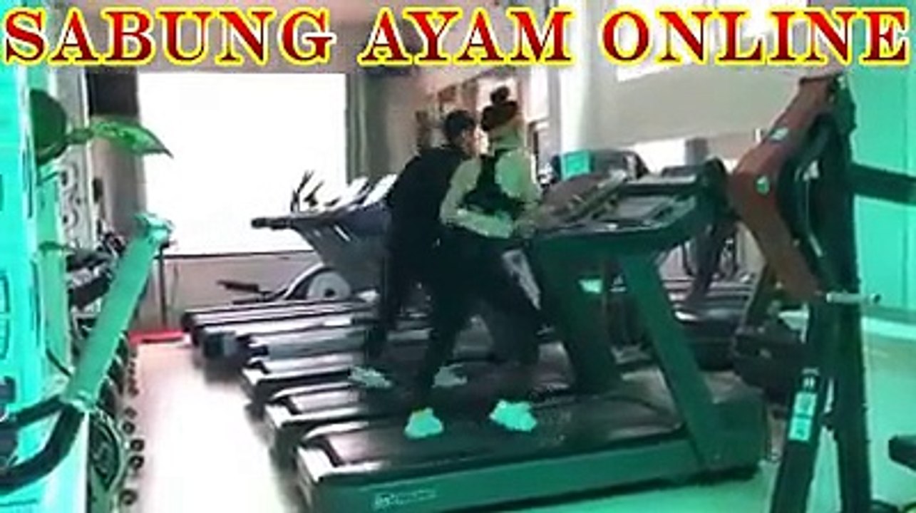 Sabung Ayam Online