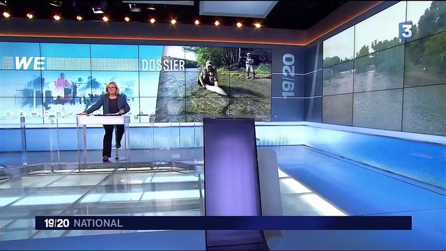 Saumon : une espèce menacée de disparaître dans les Pyrénées-Atlantiques