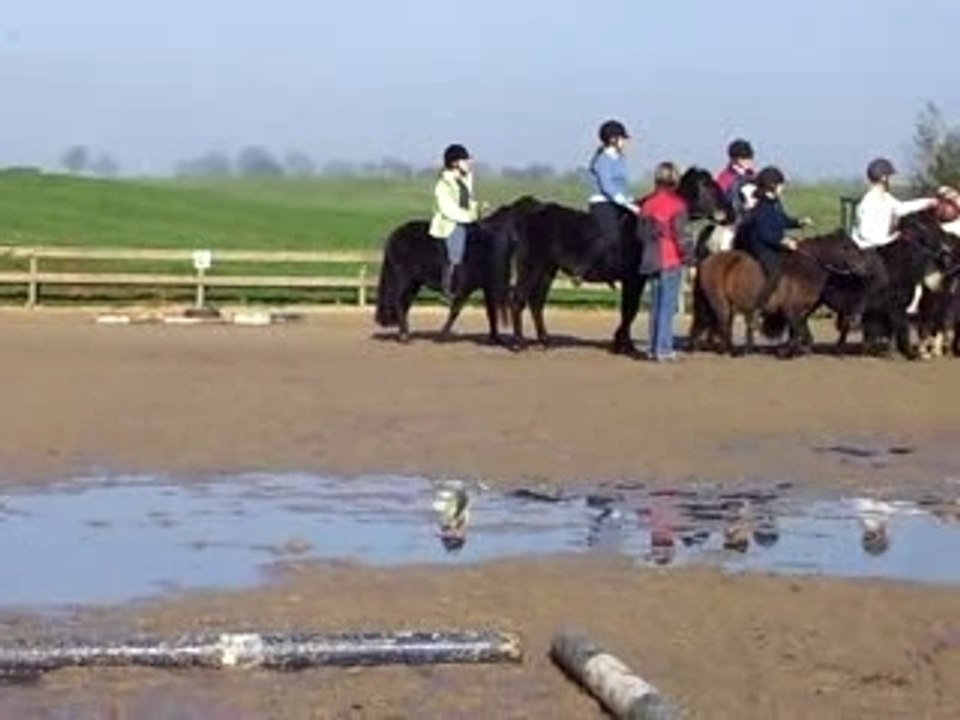 Stage debourrage poulain 147