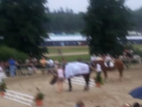 Lamotte Beuvron 2007