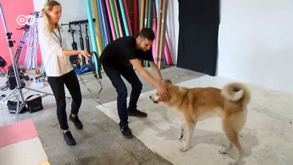 Desde otro ángulo: animales desde abajo | Euromaxx