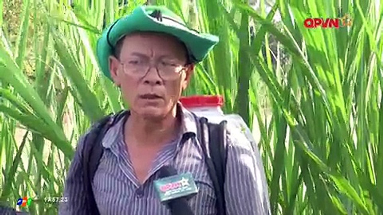 Tiểu Thư UY Quyền Tập 39