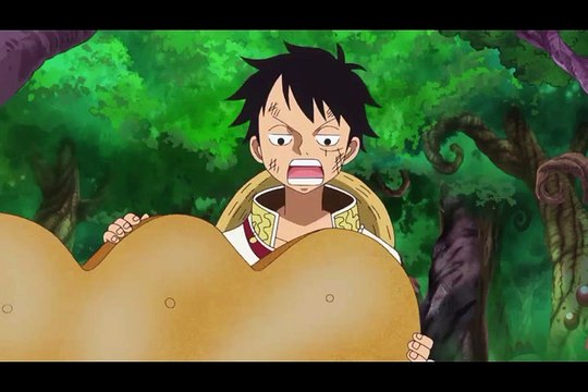 One Piece 805 Preview [Namis Help]
