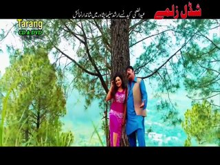Pashto New HD Film Songs Hits Shadaal Zalme Hits 1