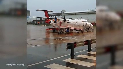 heavy wind ,lightning and rain as summer storm hits Sydney