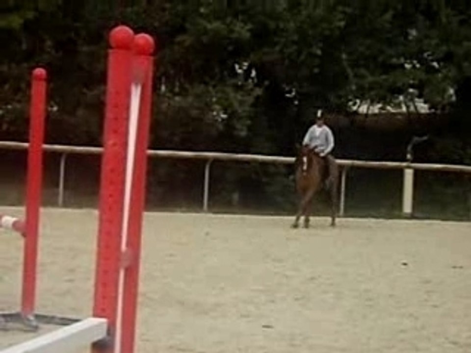 IMGP3998