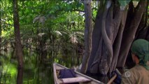 Man Woman Wild S02E03 Amazon Jungle Maze French 1080p