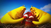 LARVA SHADE | Cartoon Movie | Cartoons For Children | Larva Cartoon | LARVA Official by Lu