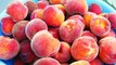Peach Smoothie Recipe - Peaches Banana Recipes Fruit Smoothies - Healthy Milkshake Shakes