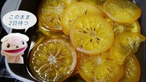 Chocolate Dipped Candied Orange Slices (Orangette) 輪切り オランジェット ギフト ラッピング Recipe