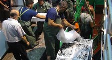 Balıkesir'de Yasak Bereketi! Kasa Kasa Balıkla Döndüler, İşte Sezonun Fiyatları