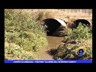 Ciappetta - Camaggio | Pastore: "allarme SEU, interventi subito"