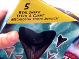Méga requin dent trousse