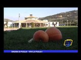 Orsara di Puglia | Viva la Puglia con Peppe Zullo e Tony Santagata
