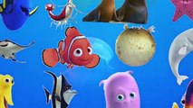 Et animaux pour enfants Apprendre des noms océan réal Mer son vidéo eau Animal p