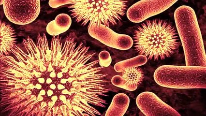 दानव जैसी शकल वाले इस मासूम की सच्चाई जानकार आप रो पड़ेंगे | hair baby