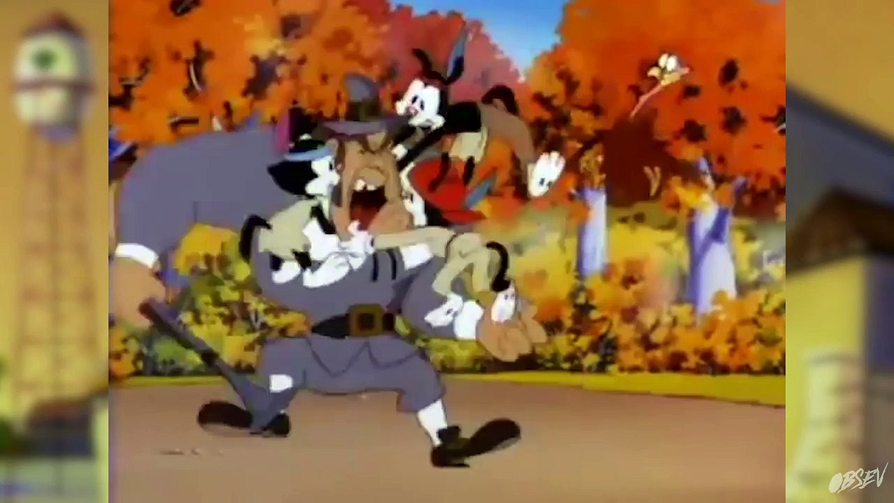 Top 10 Dirty Jokes in Animaniacs Cartoons ,animated cartoons Movies comedy action tv series 2018