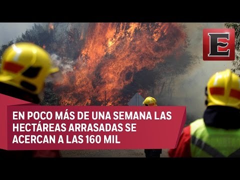 Chile combate descomunales incendios forestales
