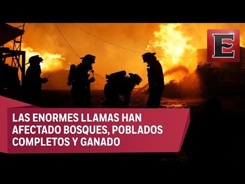 Brigadistas extranjeros llegan a Chile para apaciguar incendios forestales