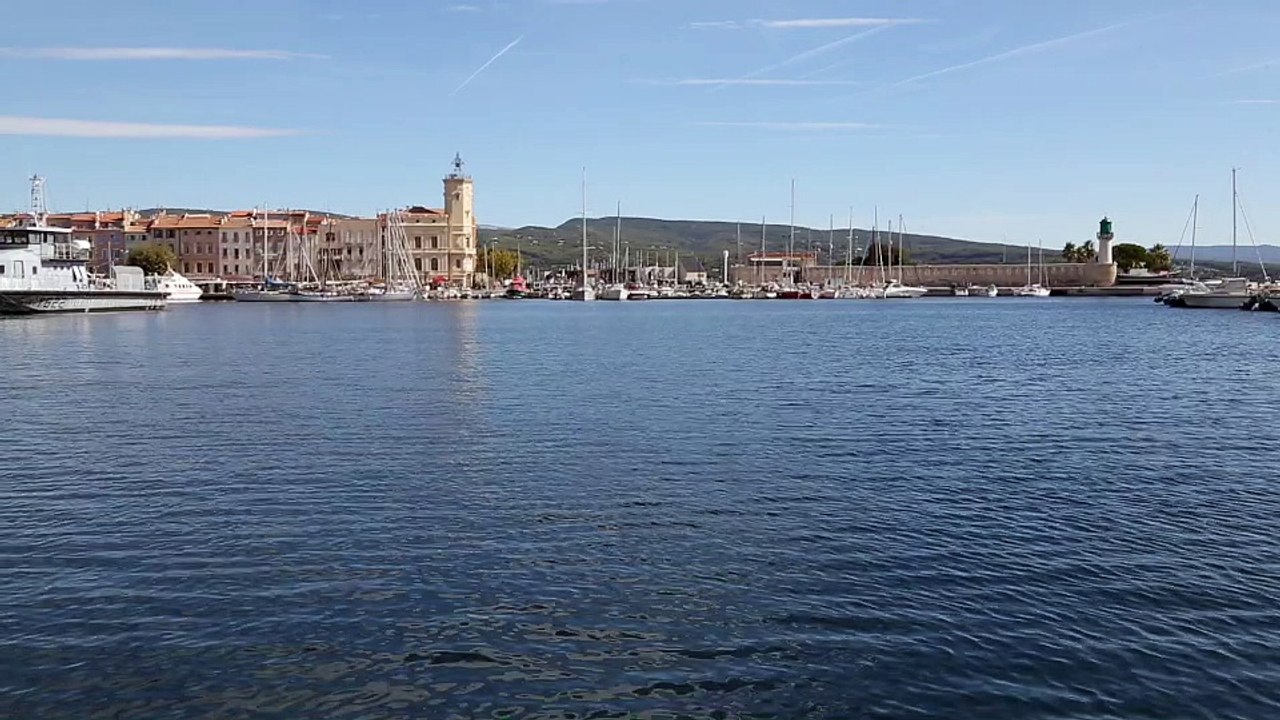 La Ciotat : le dauphin se promène toujours dans...