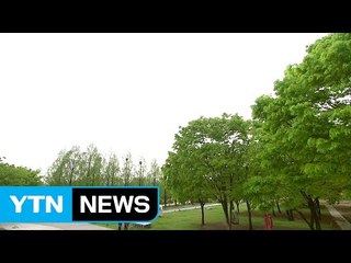 [날씨] 비 모두 그쳐...당분간 맑고 따뜻 / YTN