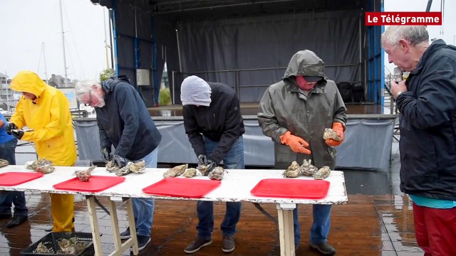 Paimpol. La Fête de l'huître quelque peu noyée tient bon la marée !
