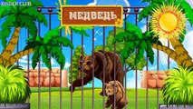 En Niños para y animales del zoológico enseñan Inglés al Ruso desarrolla de dibujos animados