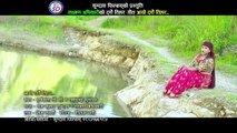 Aayo Dashain Tihara/अायाे दशैं तिहार/New Dashain Song 2074/2017