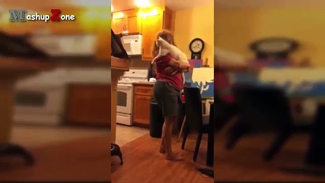 Funny Cats Jumping Into Owners Arms Compilation || NEW HD