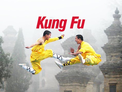Top New The Martial Arts Kung Fu Of Self-Defense