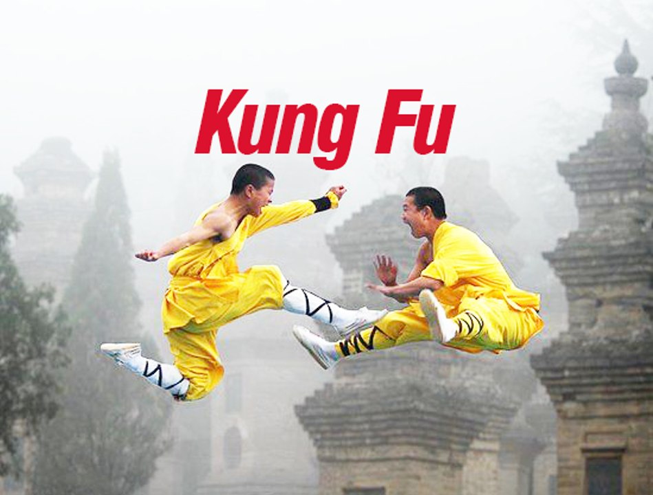 Top New The Martial Arts Kung Fu Of Self-Defense