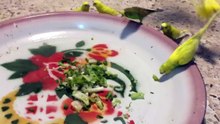 طيور البادجي