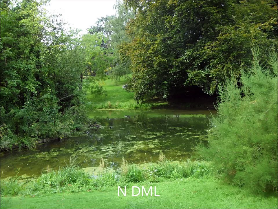 PARC BARBIEUX 3 SEPT 2017 2ieme partie