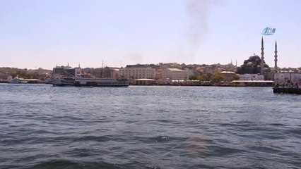 Tarihi Yarımada'da Yunus Şovu