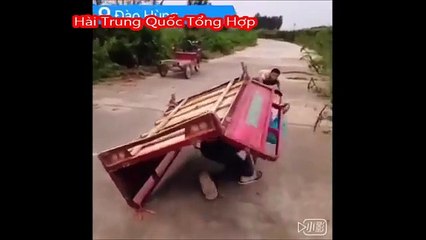 Clip hài -Hài bựa Trung Quốc(con chó khốn nạn nhất năm) - YouTube