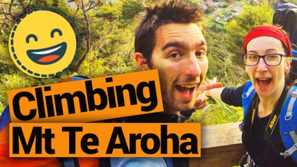 Climbing Mt Te Aroha  - New Zealand's Biggest Gap Year – Backpacker Guide New Zealand