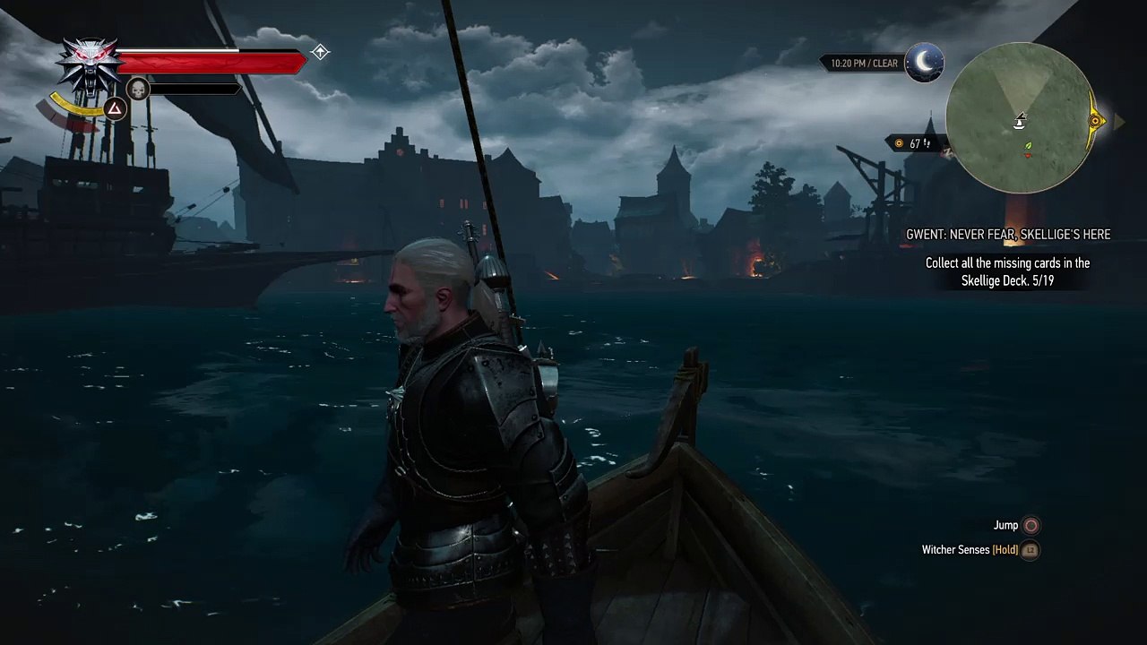 The Witcher 3: Wild Hunt starry night