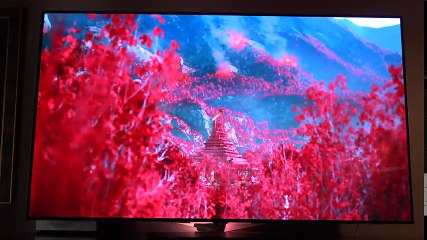 Best TV of 2016- LG 65- 4K OLED + HDR- Unboxing & Review