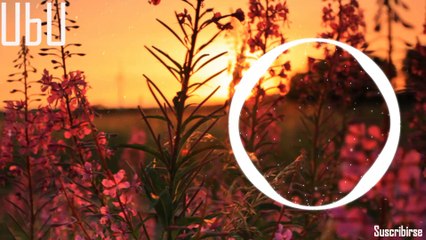 Alan Walker - Harmonics(Official Fans)