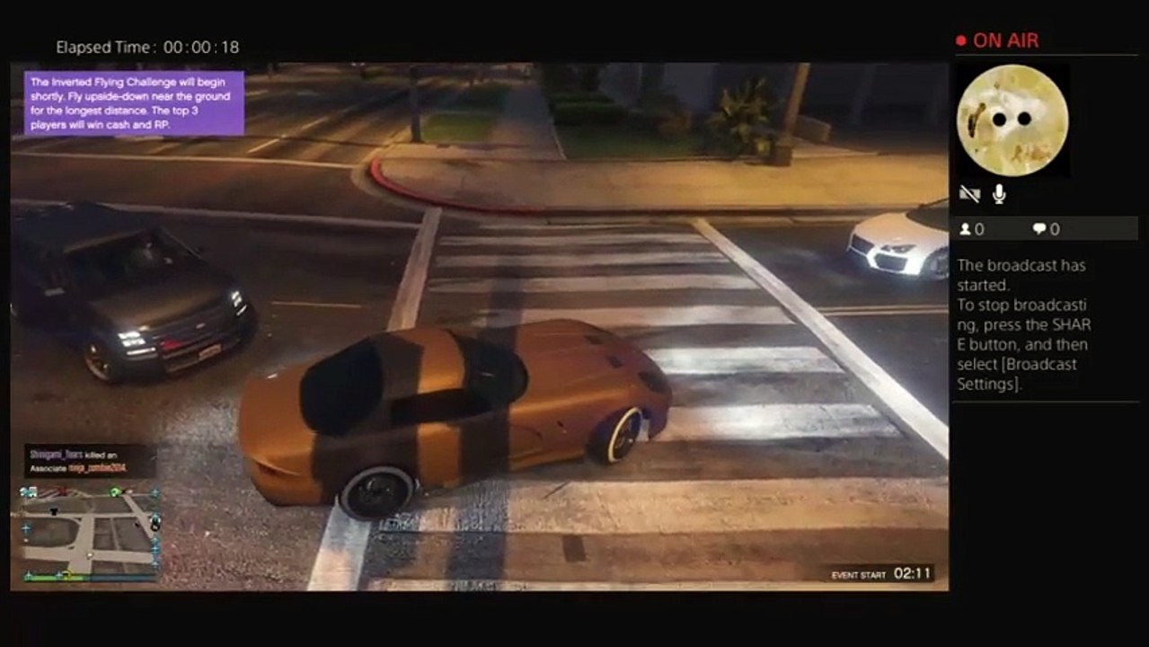 Gta (4)