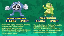Jolteon vs Vaporeon vs Flareon | Pokémon Branched Evolution (Featuring Bird Keeper Toby)