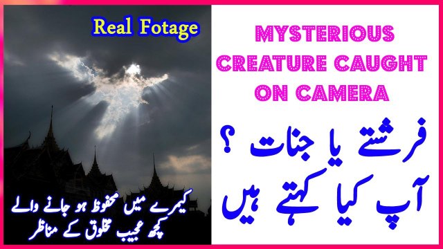 کیمرے میں محفوظ ہو جانے والے کچھ عجیب مخلوق کے مناظر ۔ آپ کے خیال میں یہ کیا ہو سکتا ہے