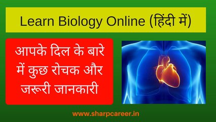 Biology For Competitive Exams - आपके दिल (Heart) के बारे में कुछ रोचक और जरूरी जानकारी लं-13cm चौ-9c