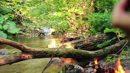Ultimate Serbian Breakfast! - Tomato Steak + Coal Baked Egg + Delicacies
