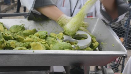 Baten récord de guacamole más grande del mundo en estado mexicano de Jalisco