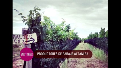 Vinos y Amigos Programa 170 Bloque 1